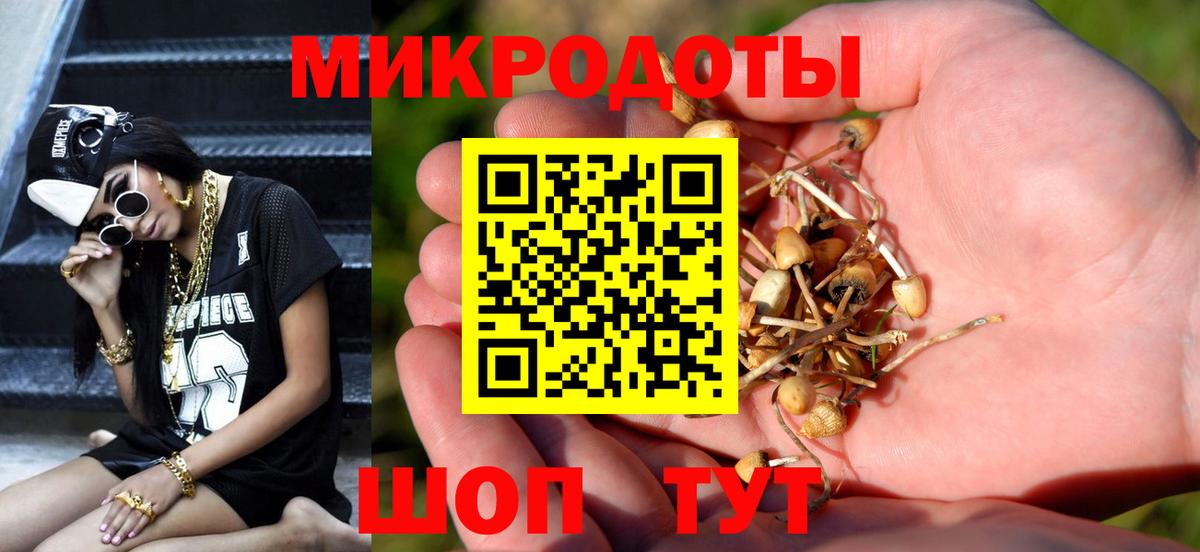 Псилоцибиновые грибы Psilocybine cubensis Вязники