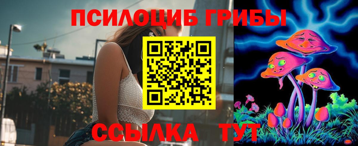 Псилоцибиновые грибы мицелий  продажа наркотиков  Вязники  Вход с VPN  Галлюциногенные грибы прущие грибы 